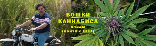 mdma Каменка